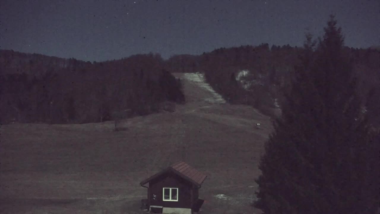 Webcam Lokve – La beauté de la forêt de Trnovo