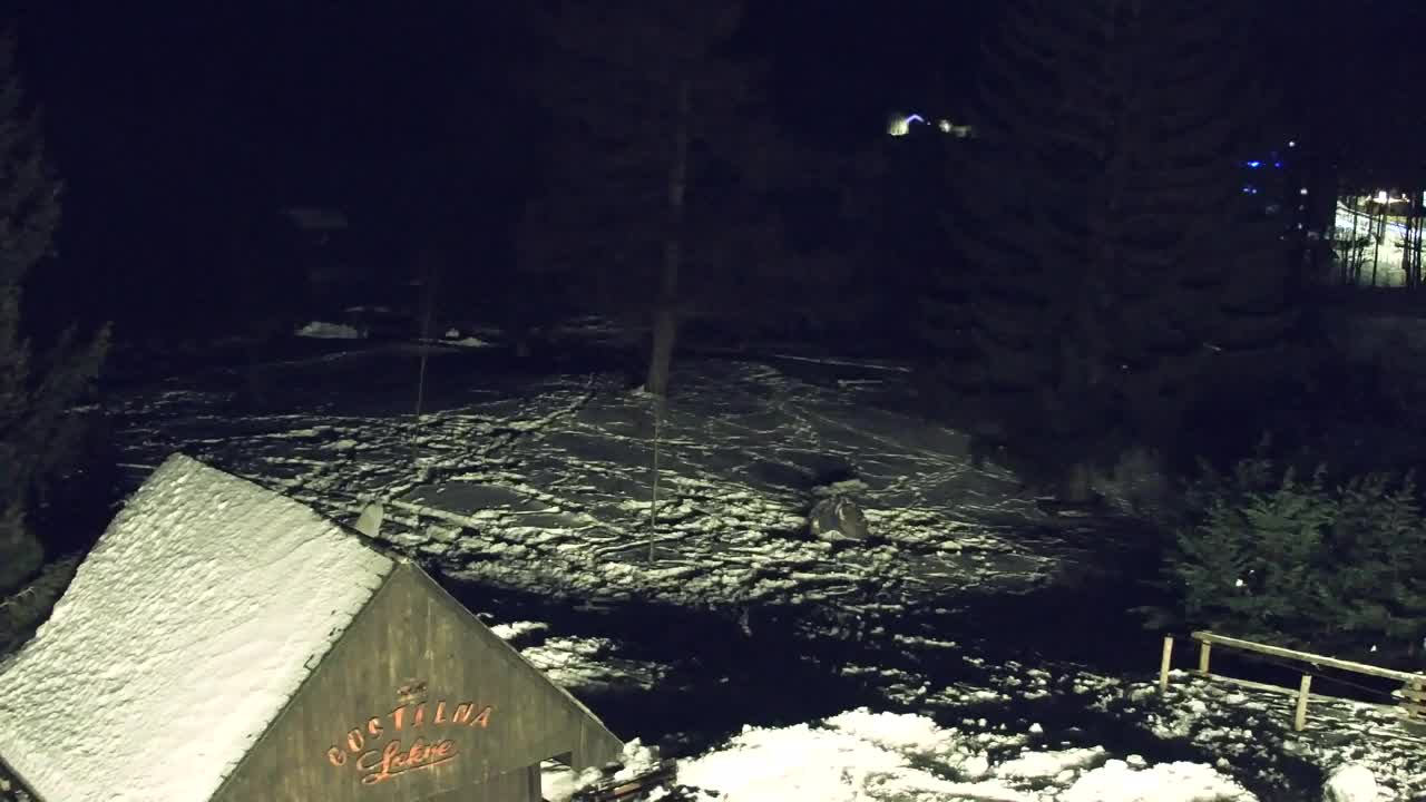 Webcam Lokve – La beauté de la forêt de Trnovo