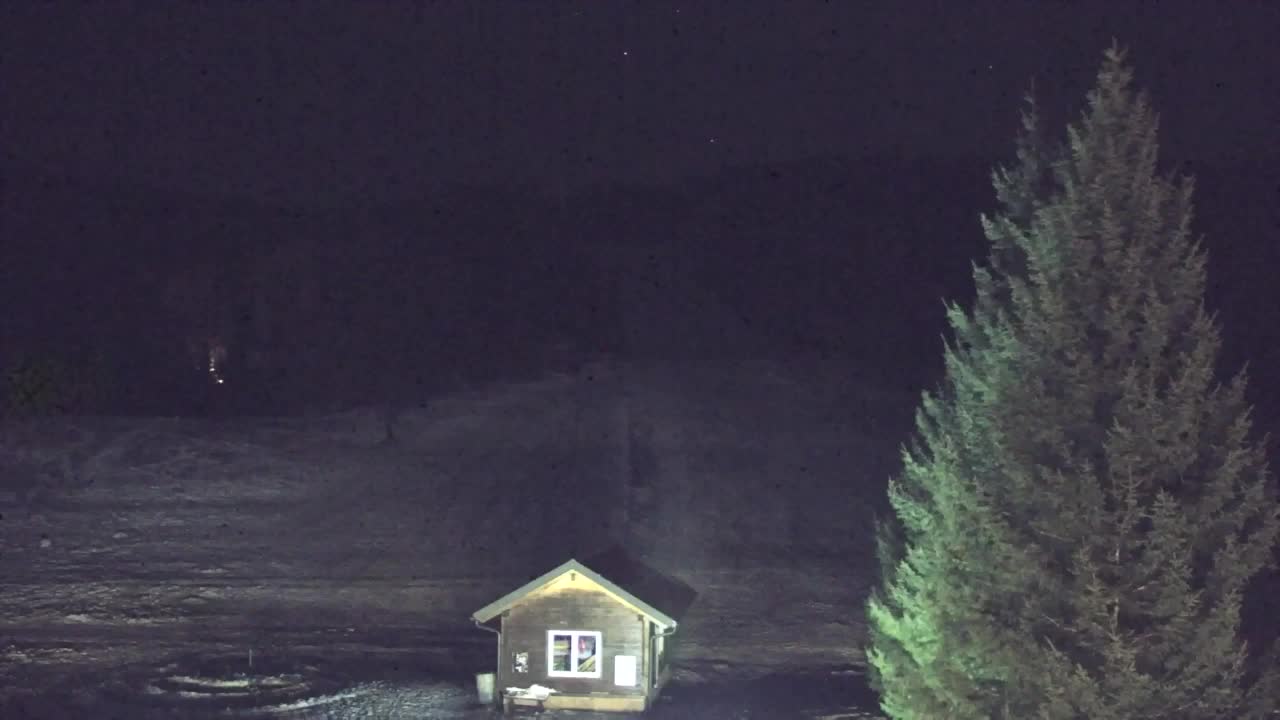 Webcam Lokve – La beauté de la forêt de Trnovo