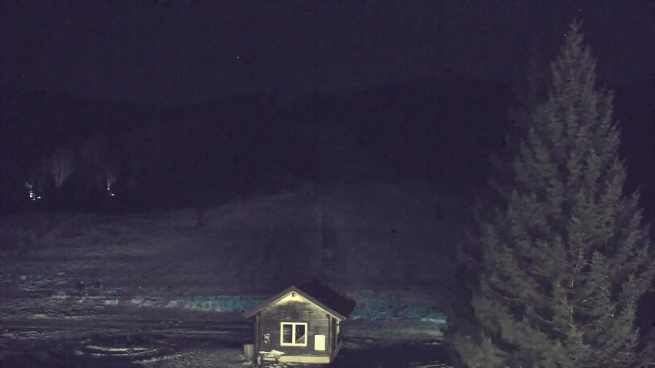 Webcam Lokve – La beauté de la forêt de Trnovo