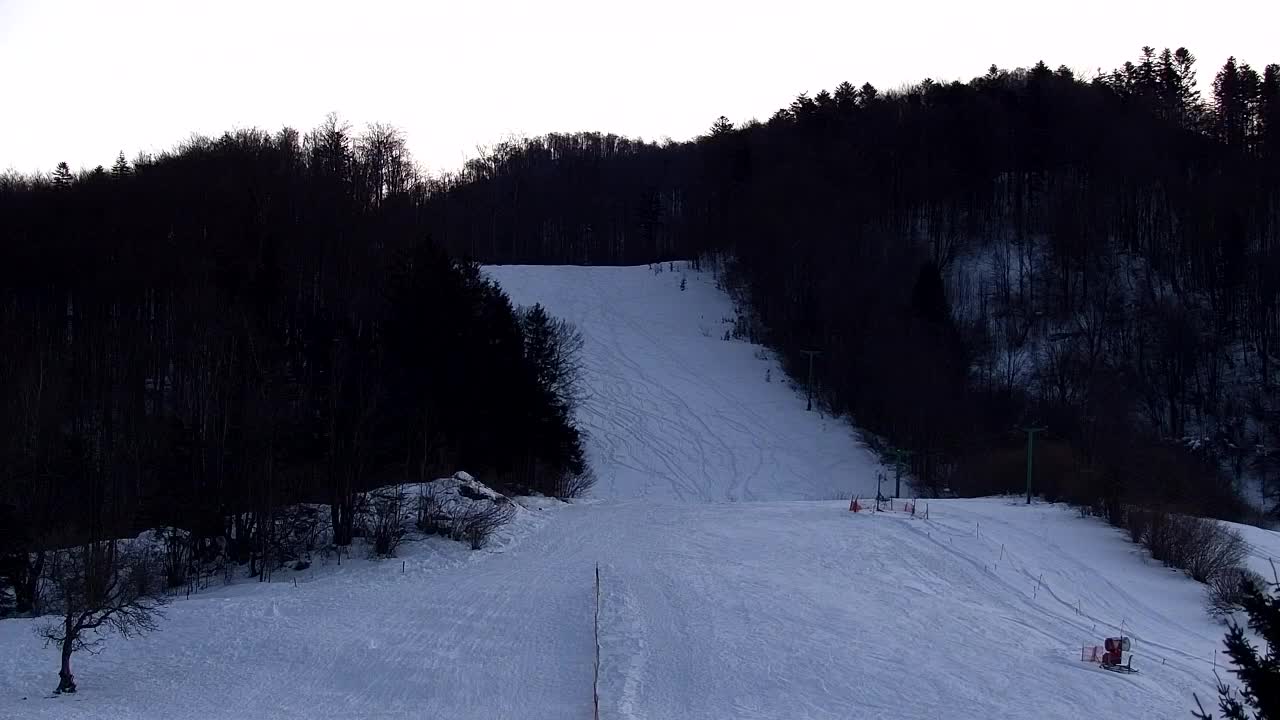 Webcam Lokve – La beauté de la forêt de Trnovo