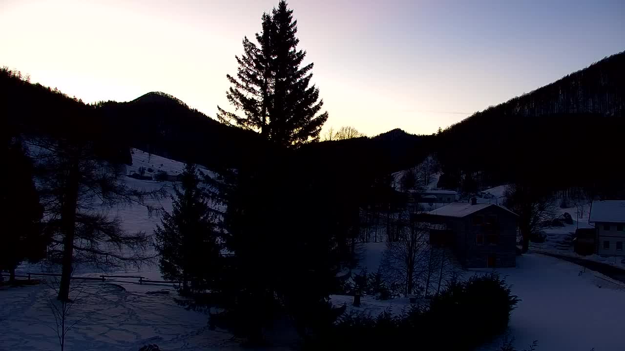 Webcam Lokve – La beauté de la forêt de Trnovo