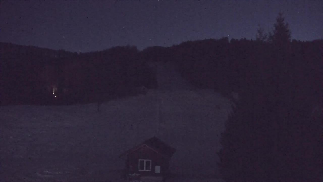 Webcam Lokve – La beauté de la forêt de Trnovo