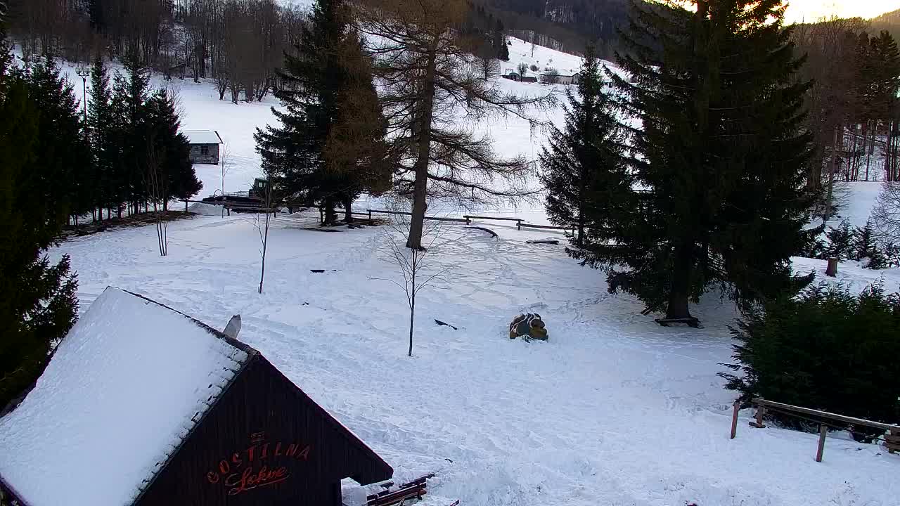 Webcam Lokve – La beauté de la forêt de Trnovo