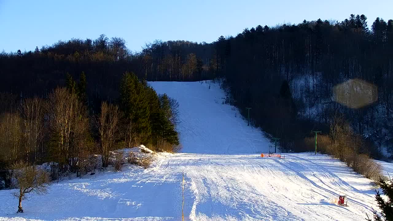 Webcam Lokve – The beauty of the Trnovo forest