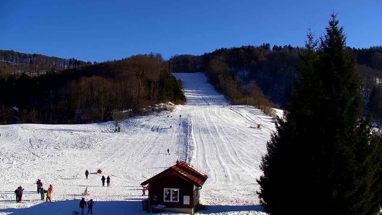 Webcam Lokve – La beauté de la forêt de Trnovo