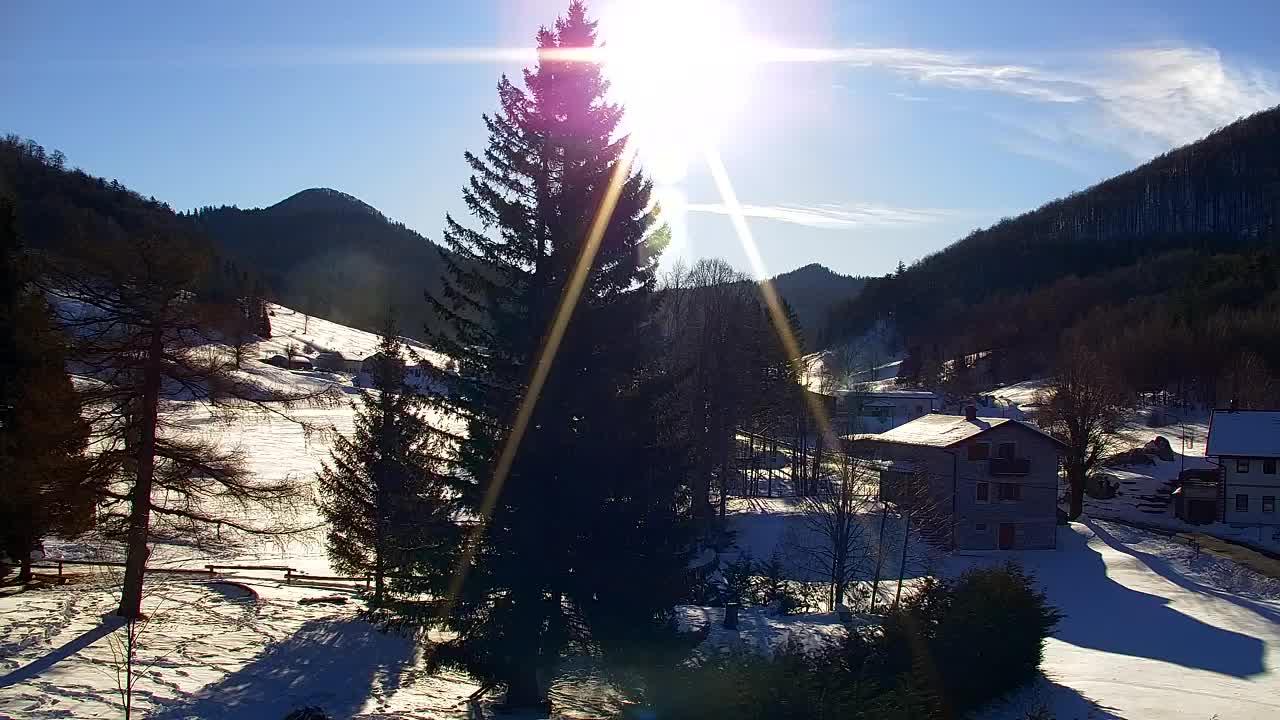 Webcam Lokve – La beauté de la forêt de Trnovo