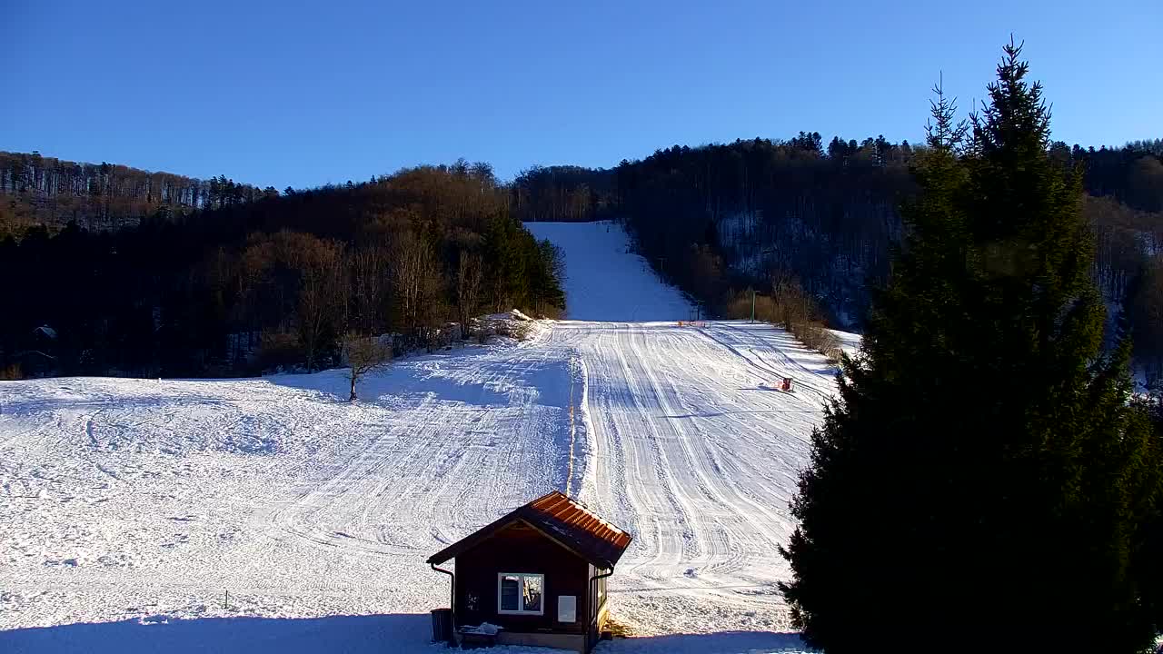 Webcam Lokve – La beauté de la forêt de Trnovo