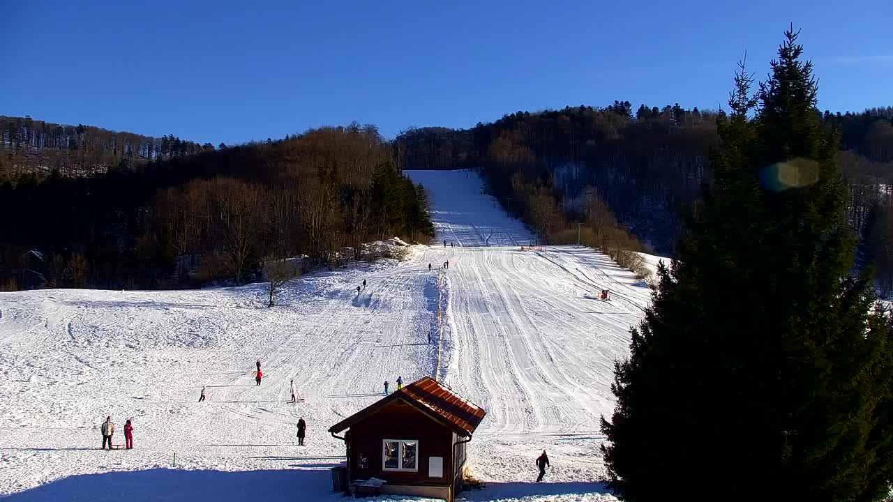 Webcam Lokve – The beauty of the Trnovo forest