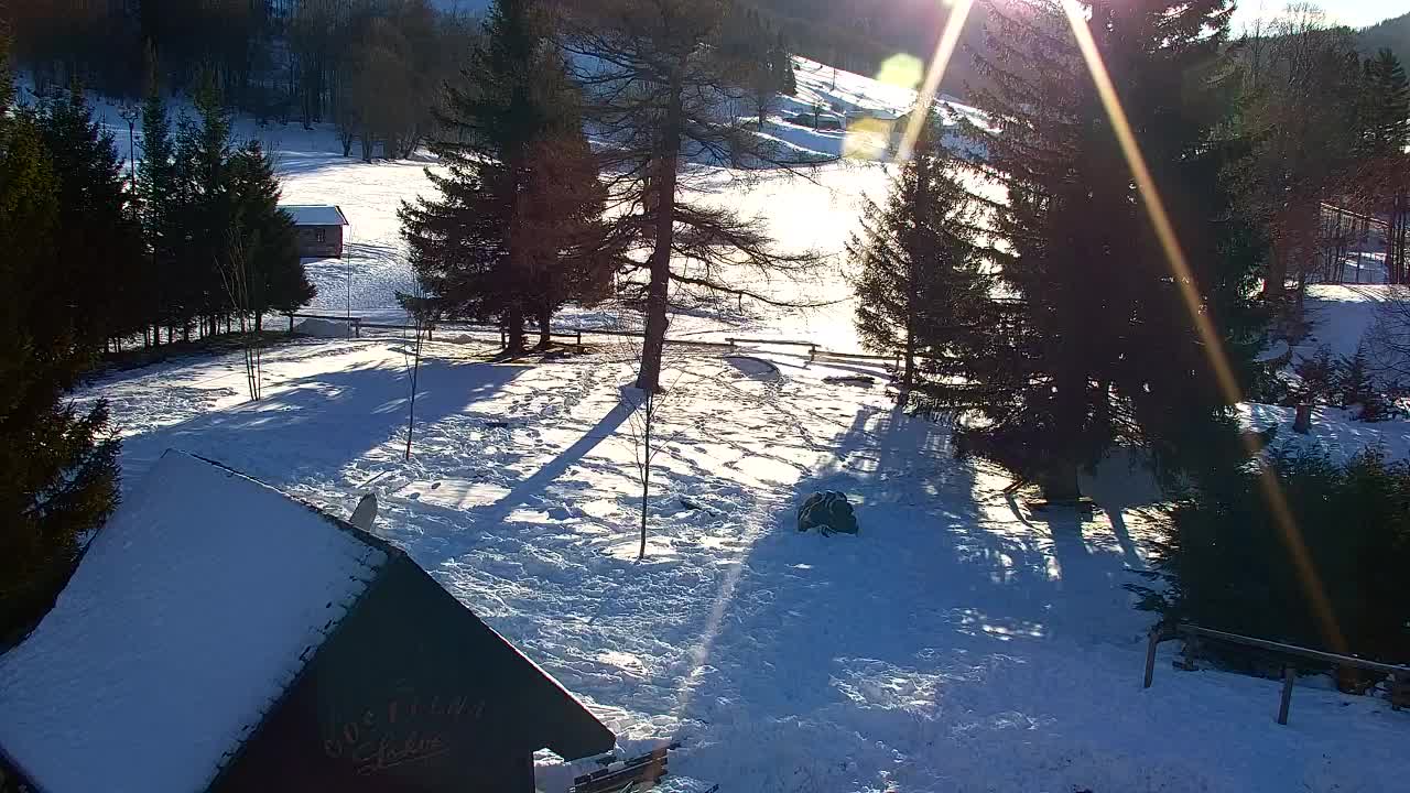 Webcam Lokve – La beauté de la forêt de Trnovo