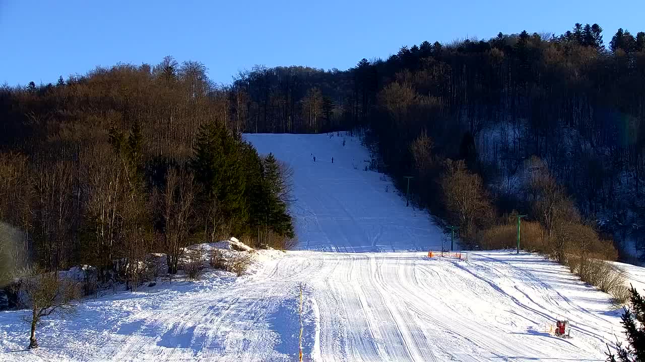 Webcam Lokve – The beauty of the Trnovo forest