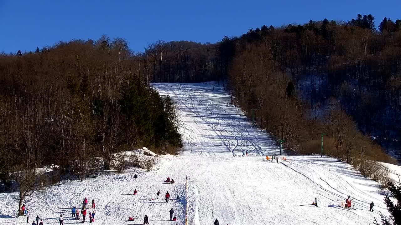 Webcam Lokve – La beauté de la forêt de Trnovo