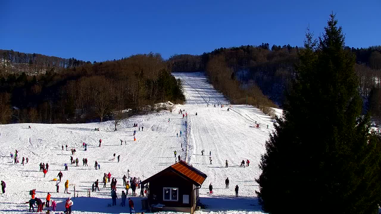 Webcam Lokve – La beauté de la forêt de Trnovo