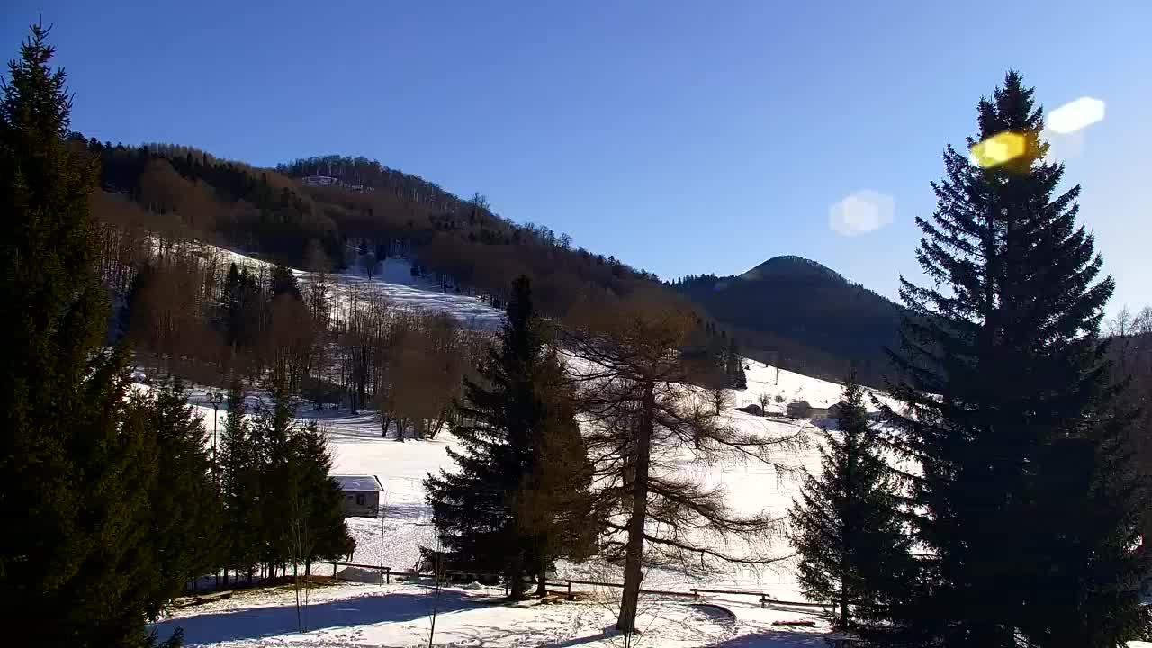 Webcam Lokve – La beauté de la forêt de Trnovo