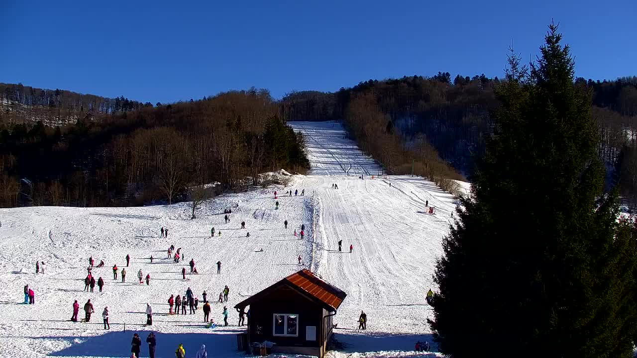 Webcam Lokve – La beauté de la forêt de Trnovo