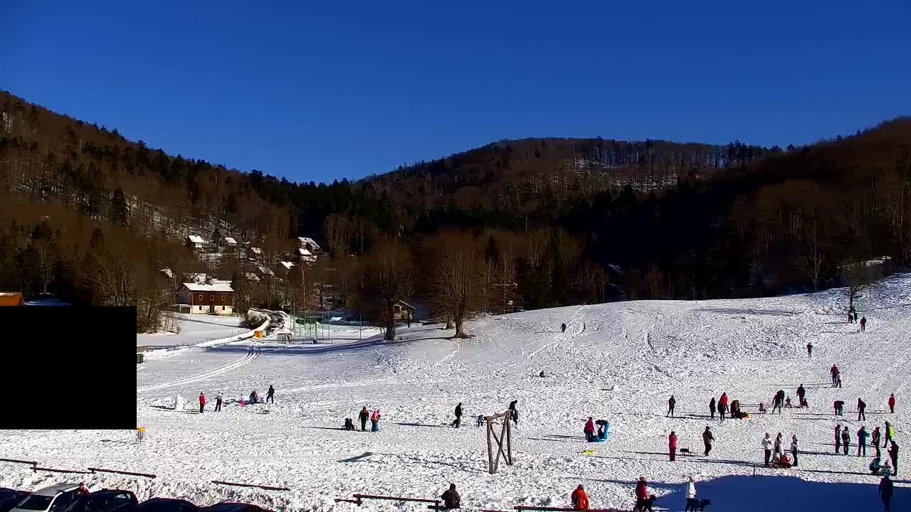 Webcam Lokve – The beauty of the Trnovo forest