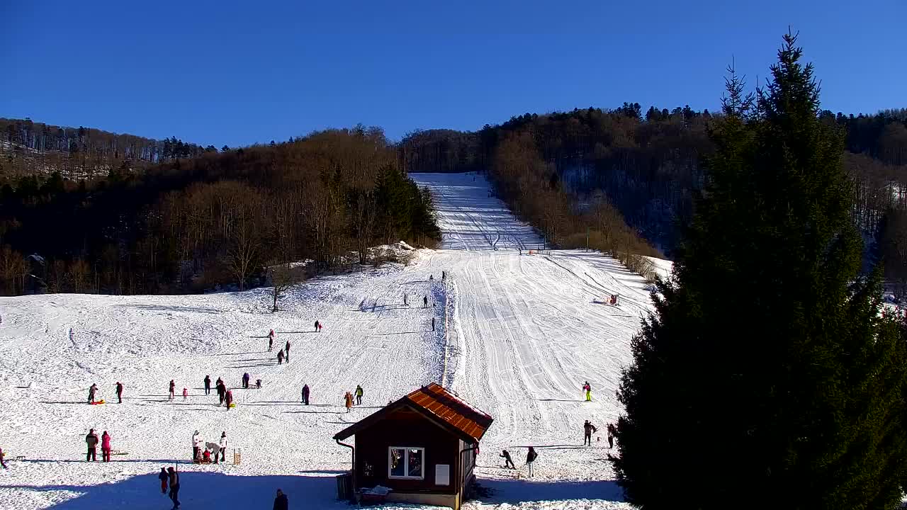 Webcam Lokve – The beauty of the Trnovo forest