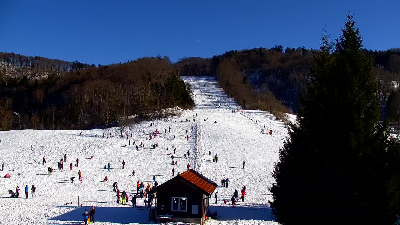 Webcam Lokve – The beauty of the Trnovo forest