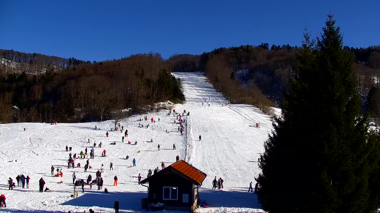 Webcam Lokve – The beauty of the Trnovo forest