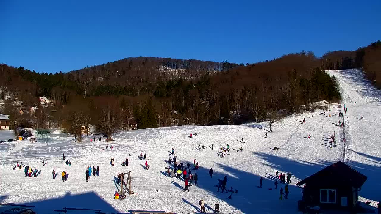 Webcam Lokve – La beauté de la forêt de Trnovo