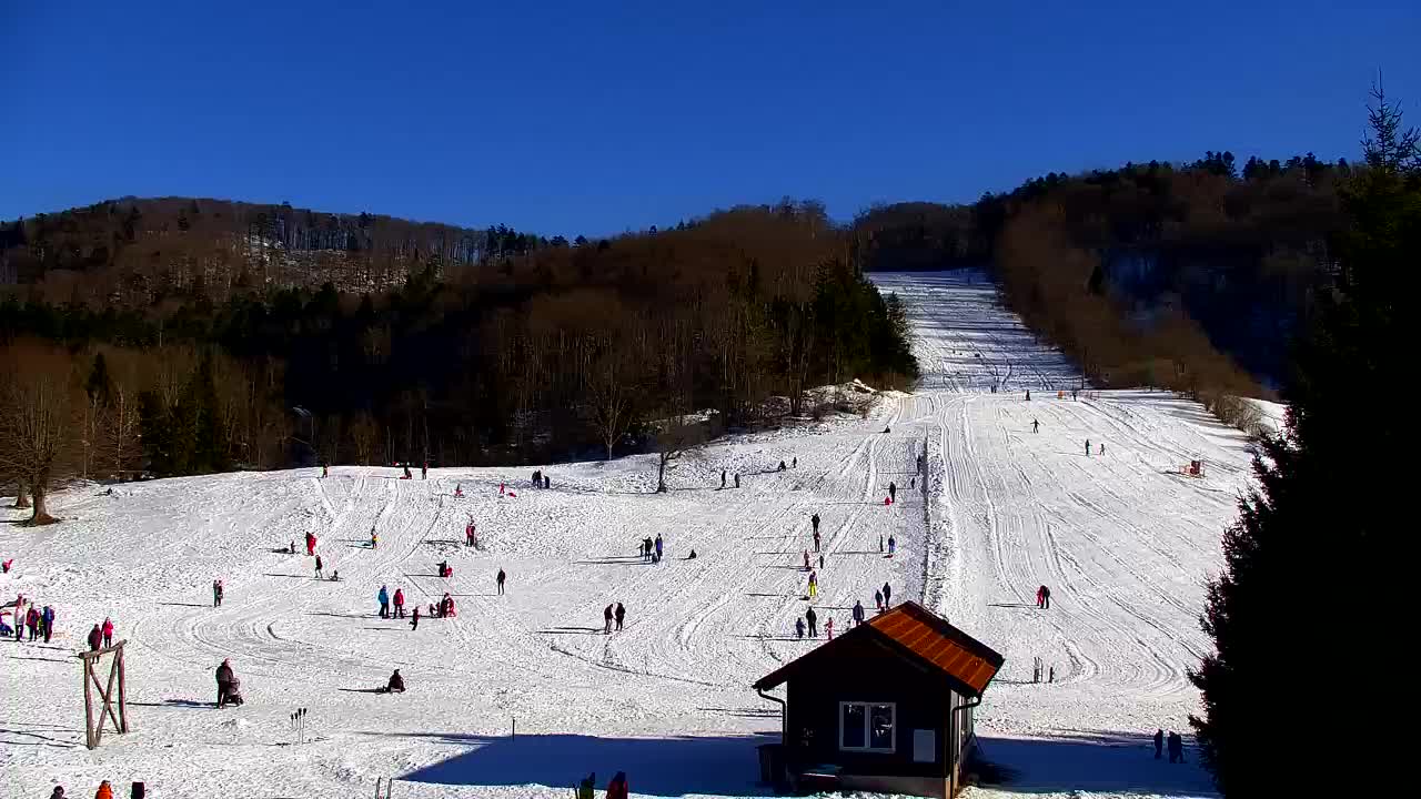 Webcam Lokve – The beauty of the Trnovo forest