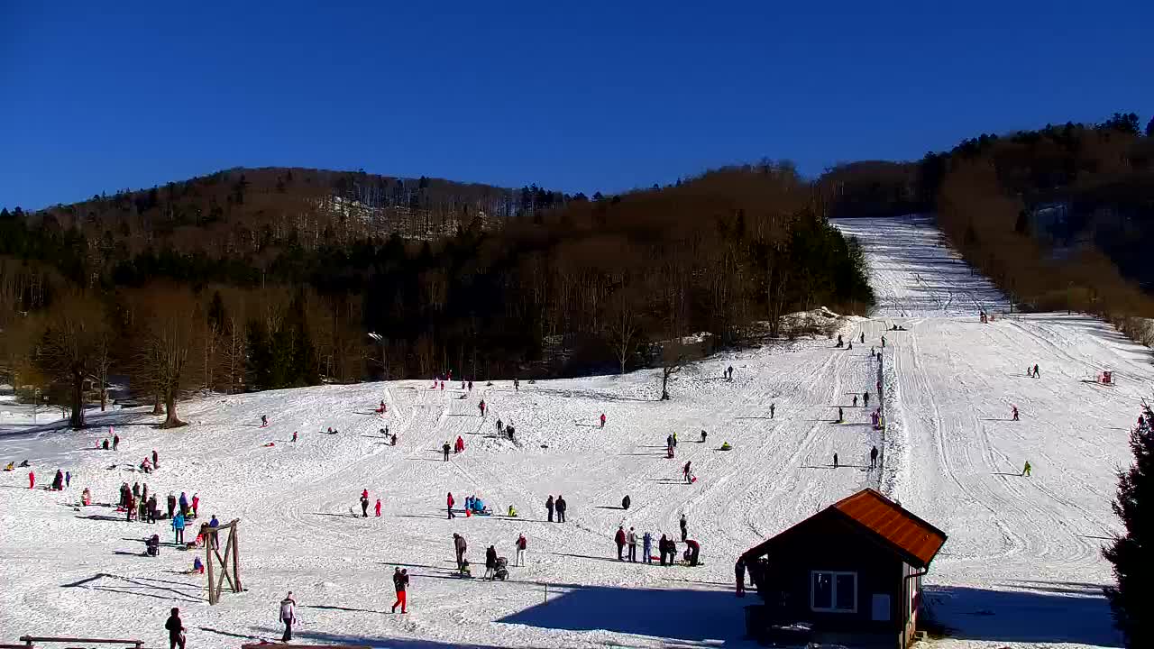 Webcam Lokve – The beauty of the Trnovo forest