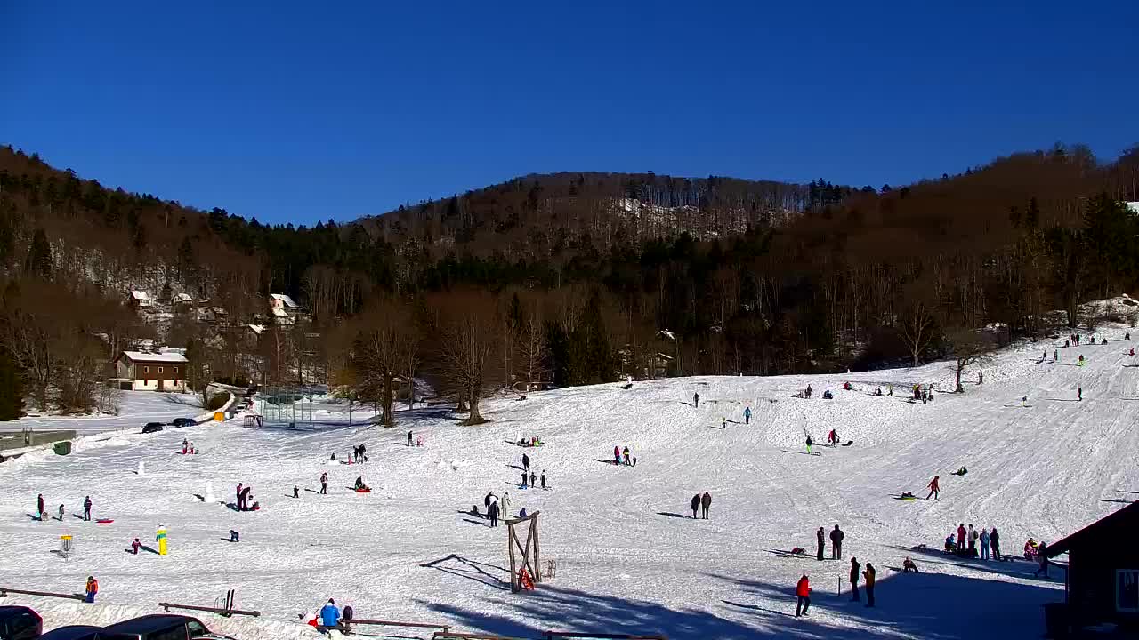 Webcam Lokve – The beauty of the Trnovo forest