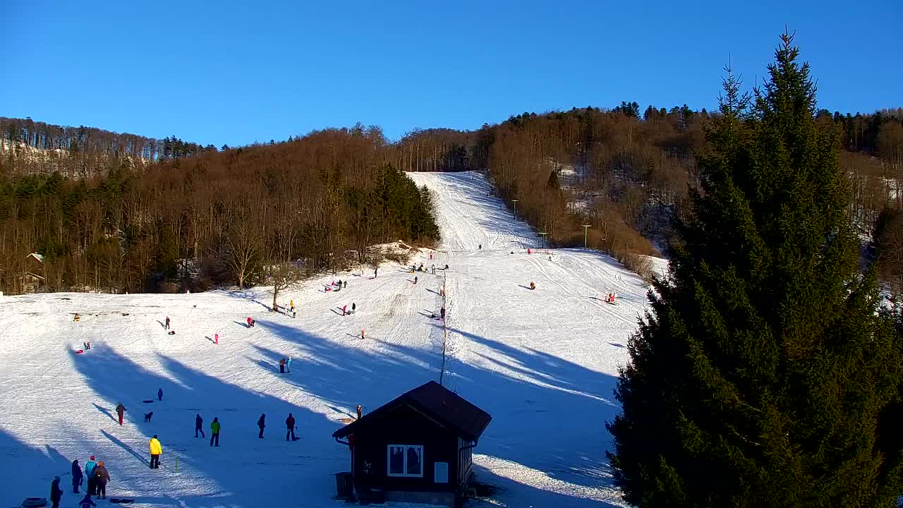 Webcam Lokve – The beauty of the Trnovo forest