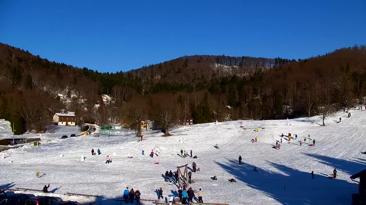 Webcam Lokve – The beauty of the Trnovo forest