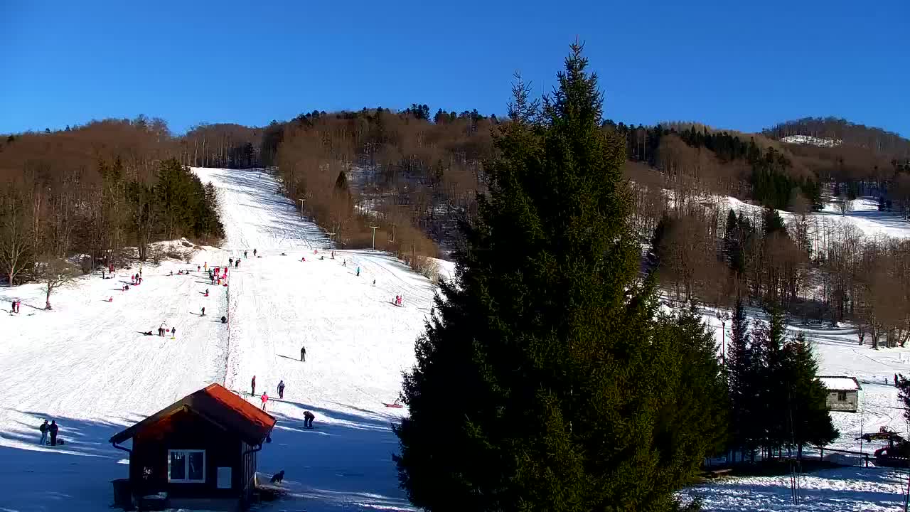 Webcam Lokve – The beauty of the Trnovo forest