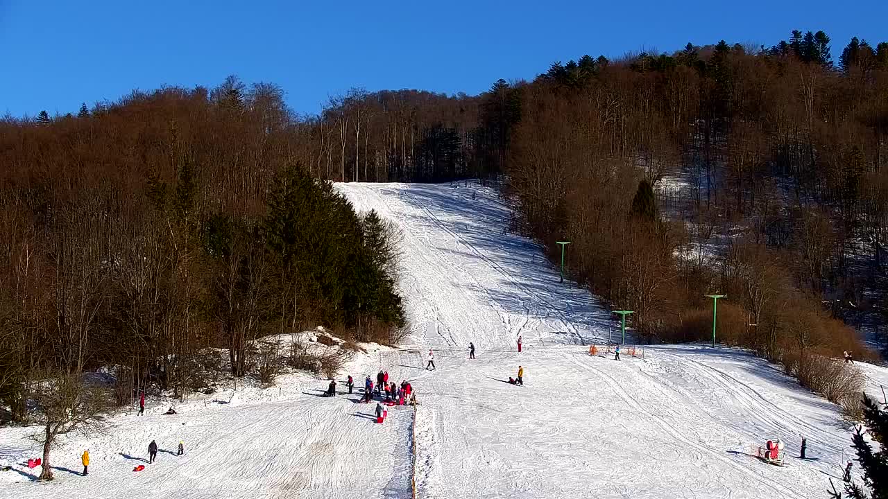 Webcam Lokve – The beauty of the Trnovo forest