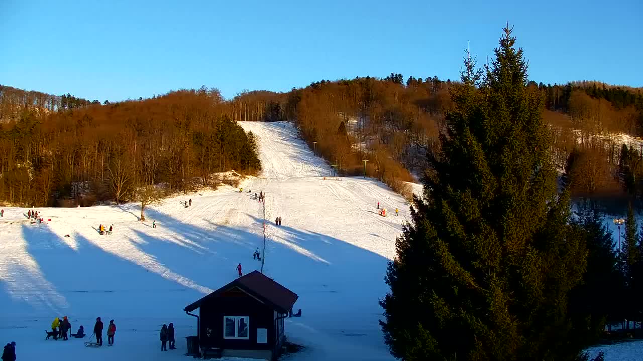 Webcam Lokve – The beauty of the Trnovo forest