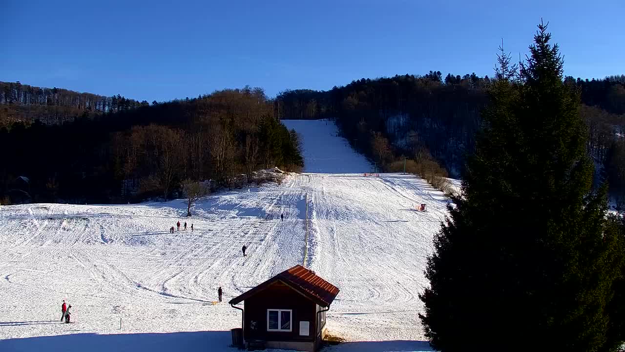 Webcam Lokve – The beauty of the Trnovo forest