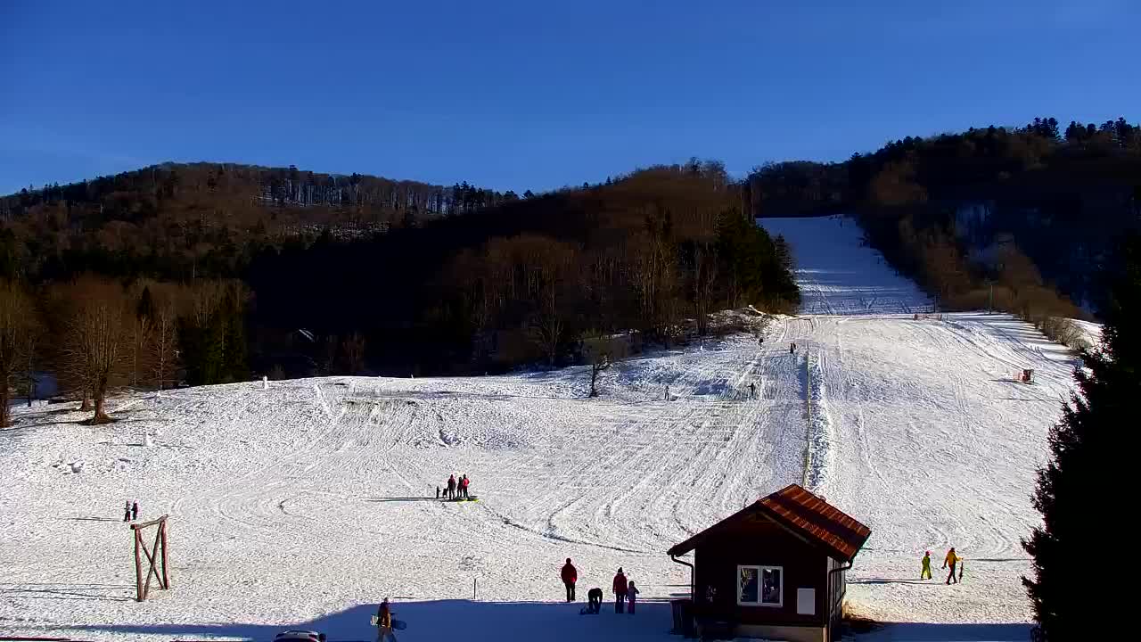 Webcam Lokve – The beauty of the Trnovo forest