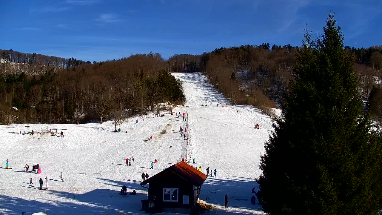 Webcam Lokve – The beauty of the Trnovo forest