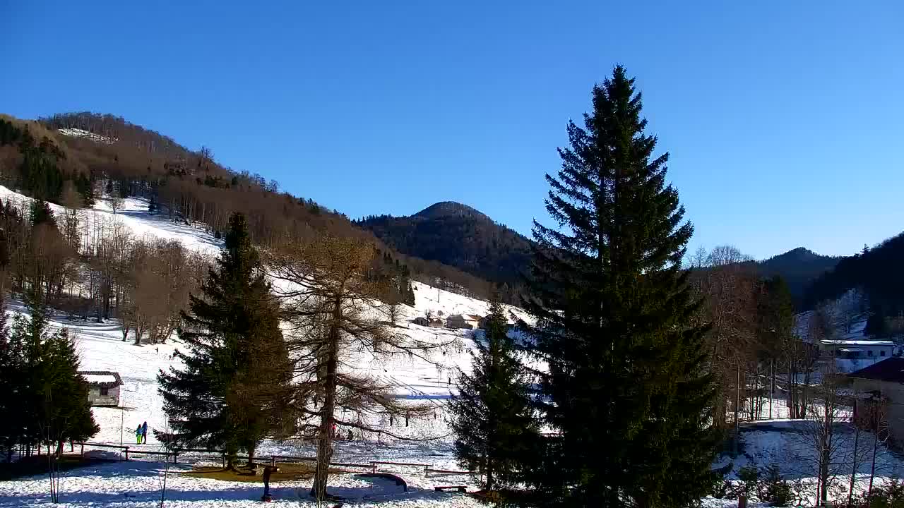 Webcam Lokve – La beauté de la forêt de Trnovo