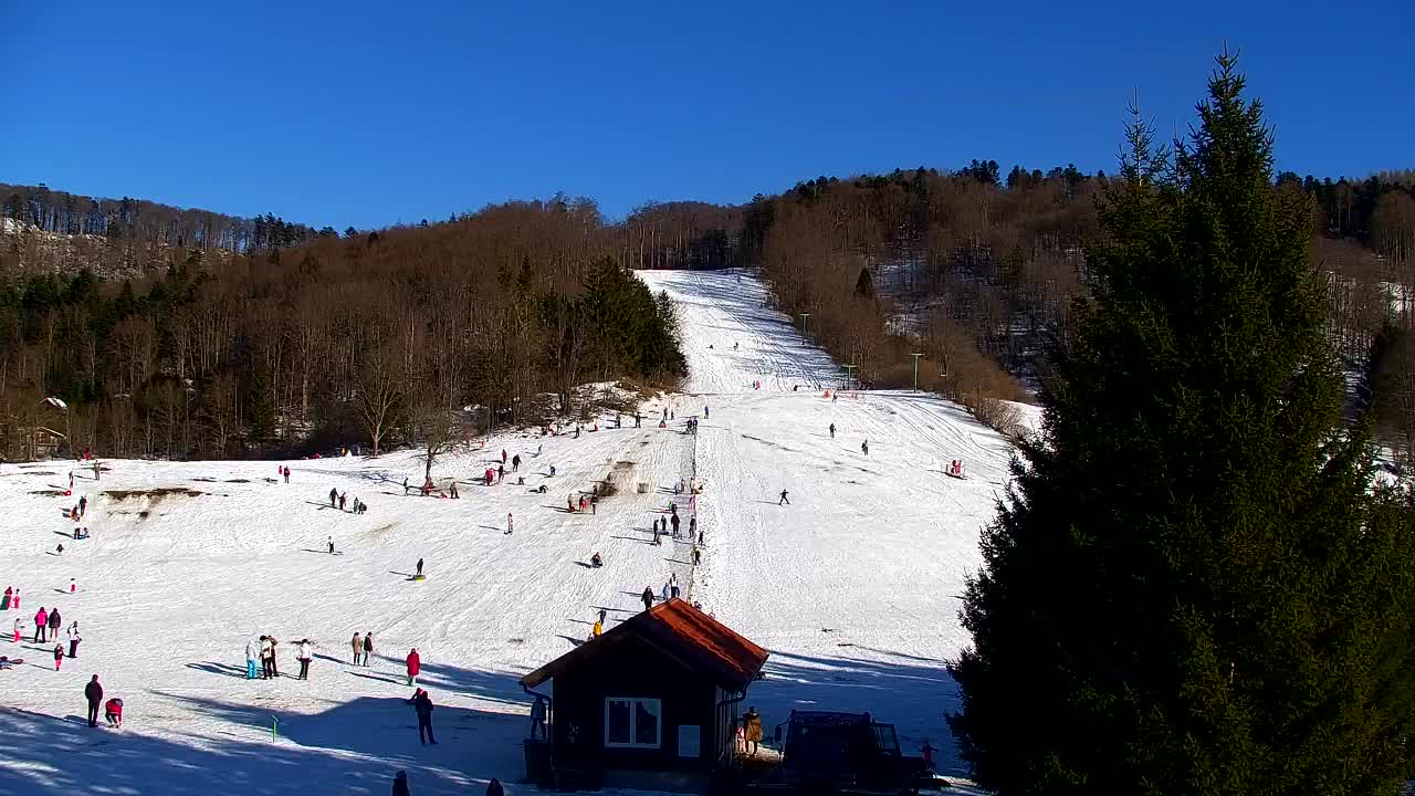 Webcam Lokve – The beauty of the Trnovo forest