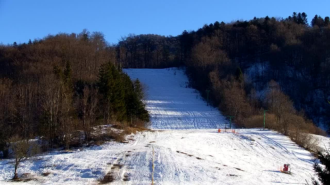 Webcam Lokve – The beauty of the Trnovo forest