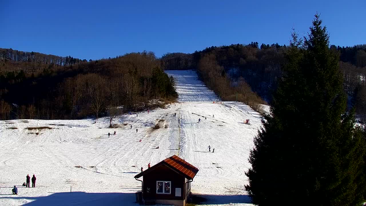 Webcam Lokve – La beauté de la forêt de Trnovo