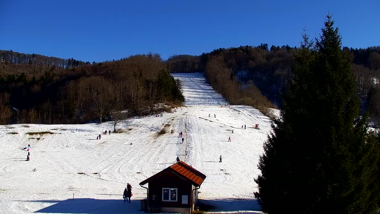 Webcam Lokve – La beauté de la forêt de Trnovo