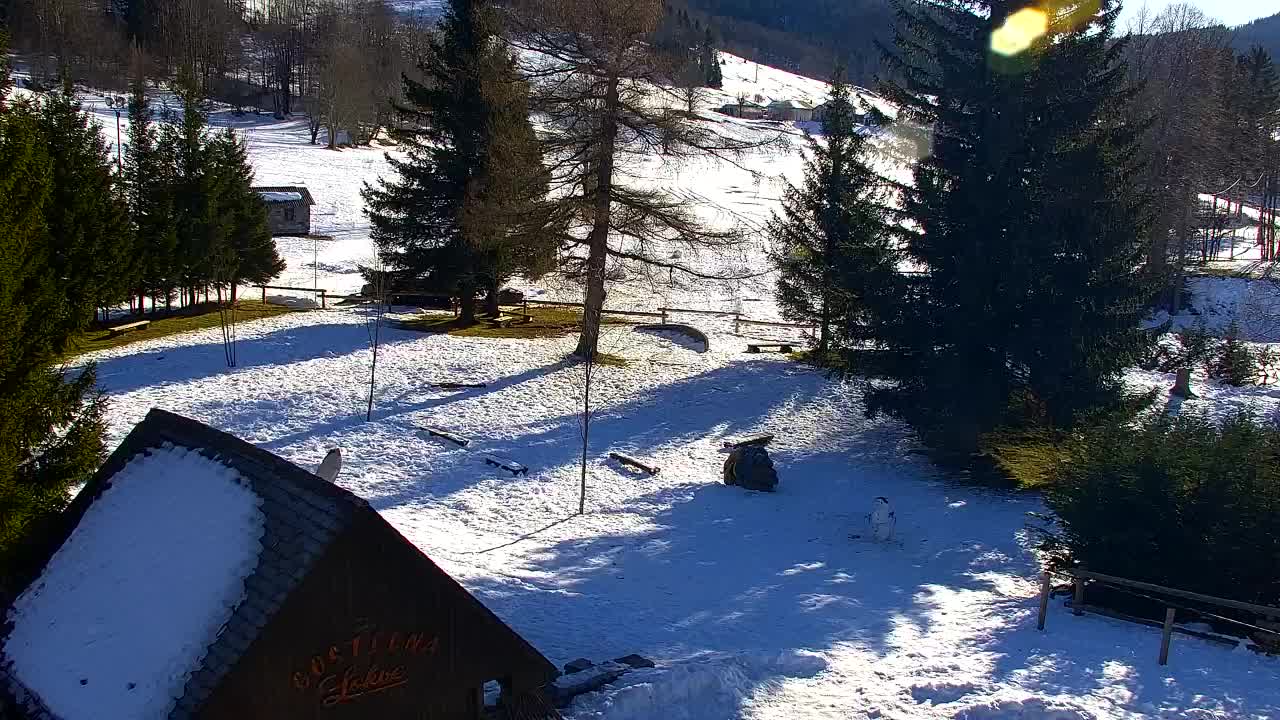 Webcam Lokve – La beauté de la forêt de Trnovo