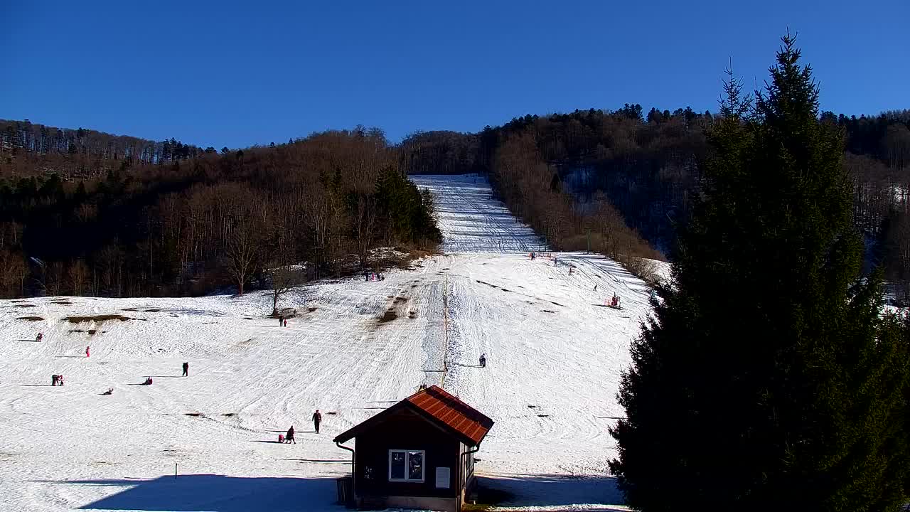 Webcam Loqua / Lokve – La bellezza della selva di Tarnova