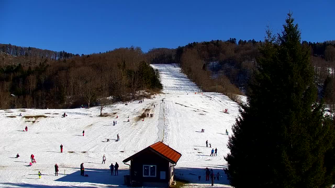 Webcam Lokve – The beauty of the Trnovo forest