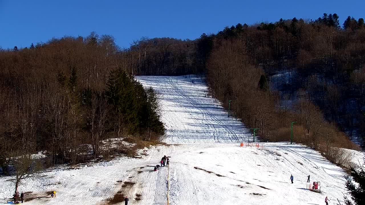 Webcam Lokve – The beauty of the Trnovo forest