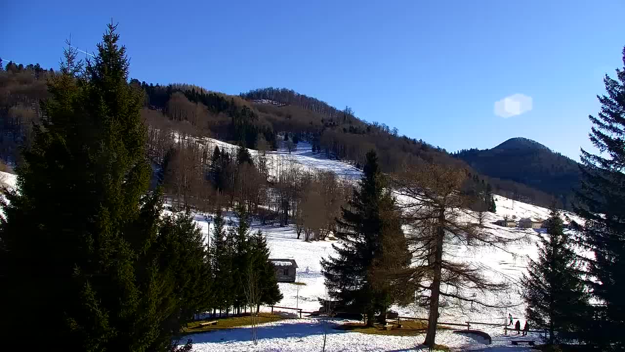 Webcam Loqua / Lokve – La bellezza della selva di Tarnova