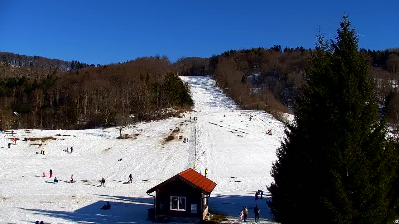 Webcam Lokve – La beauté de la forêt de Trnovo