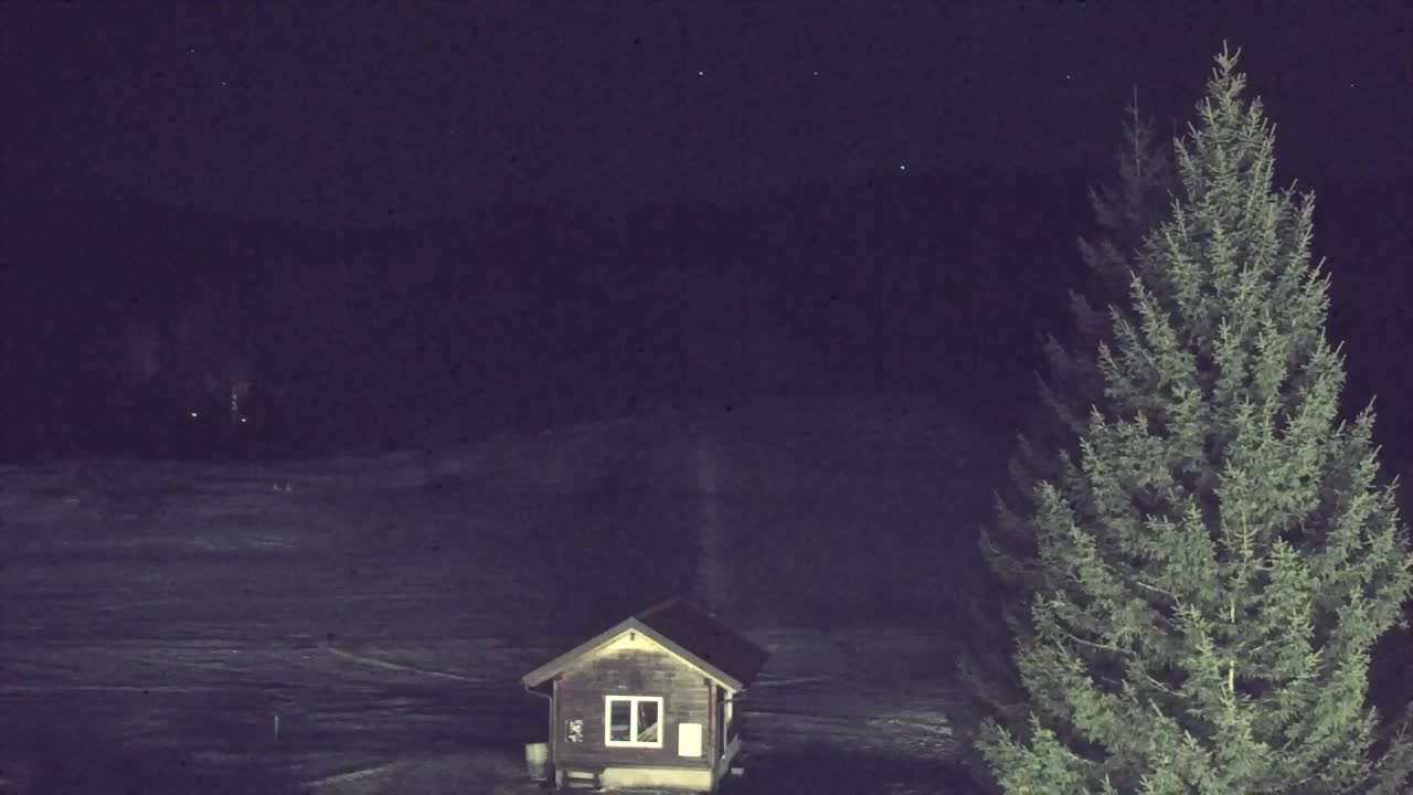 Webcam Lokve – La beauté de la forêt de Trnovo