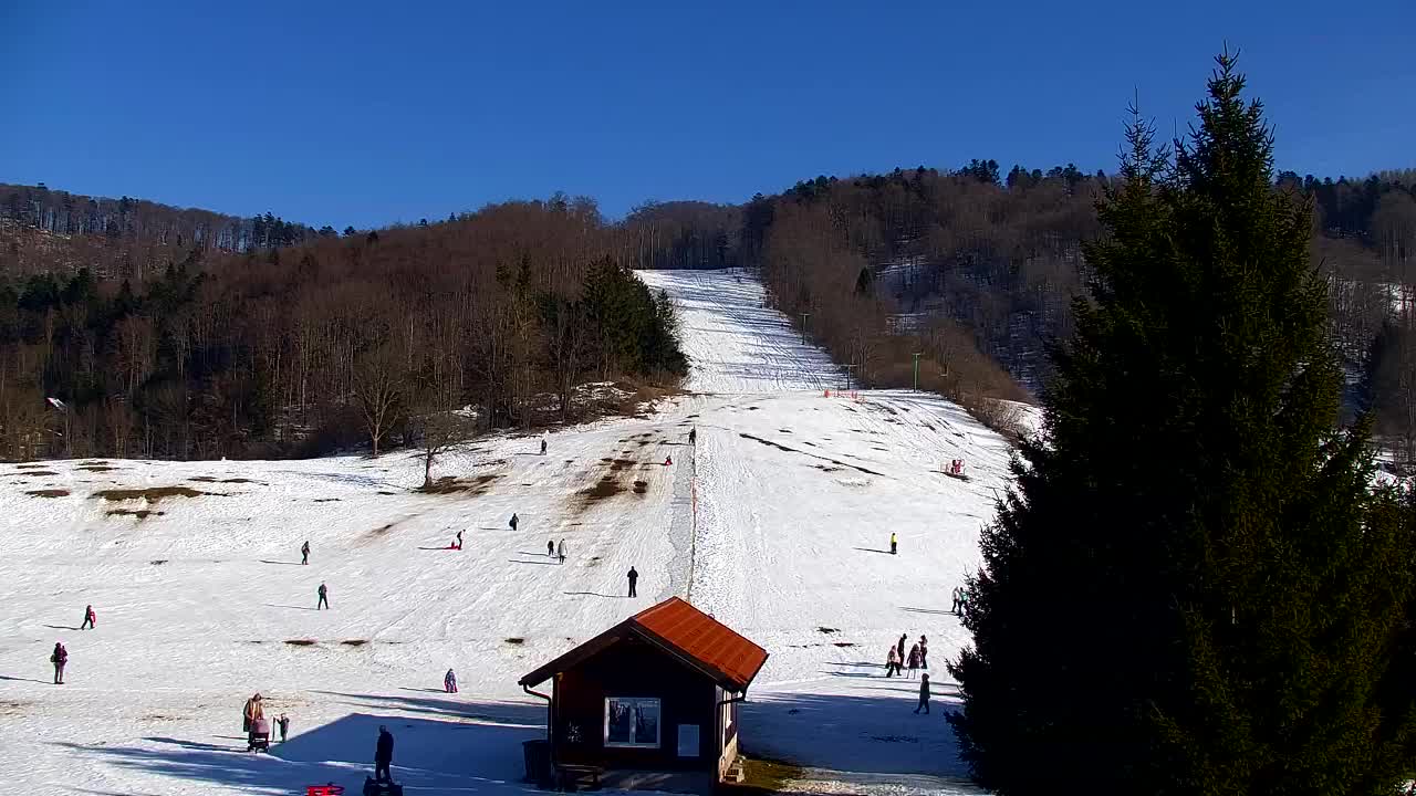 Webcam Lokve – The beauty of the Trnovo forest