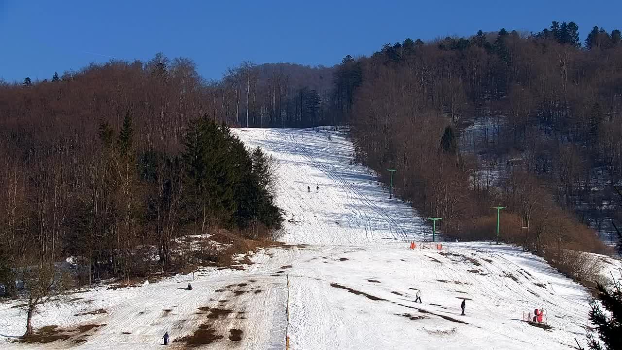 Webcam Lokve – The beauty of the Trnovo forest