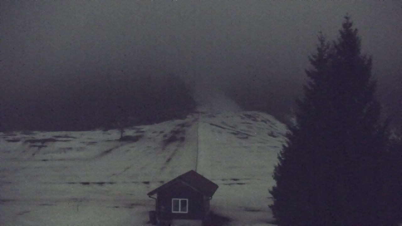 Webcam Lokve – The beauty of the Trnovo forest